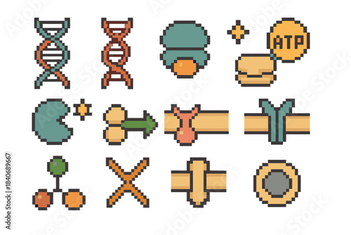 Intracellular Icons Set. Intracellular Processes pixel style set: DNA coil, RNA strand, protein builder ribosome, energy ATP icon, enzyme spark, vesicle transport arrow, membrane