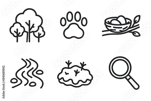 Forest Observation Icons. Natural Habitat Observation linear set: forest canopy, animal track, nesting branch, quiet creek, moss patch, observation lens.