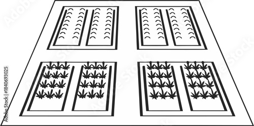 top view drone shot style aerial vegetable garden