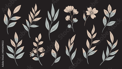 Botanical sketch of floral elements with stems and leaves on dark background