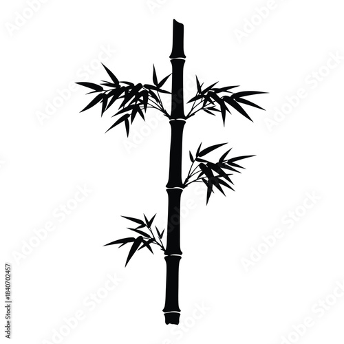 Black silhouette of a tall bamboo stalk with dense foliage