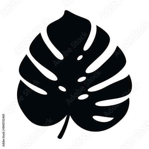 Stylized monstera deliciosa leaf tropical plant silhouette icon