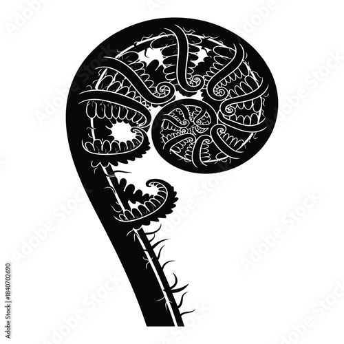 Koru traditional maori symbol fern frond spiral design illustration