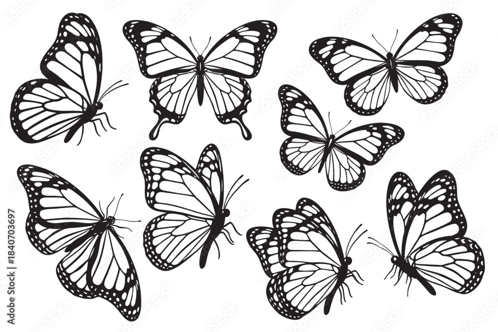 Obraz premium Set of butterfly silhouettes elegant insect collection isolated on transparent background