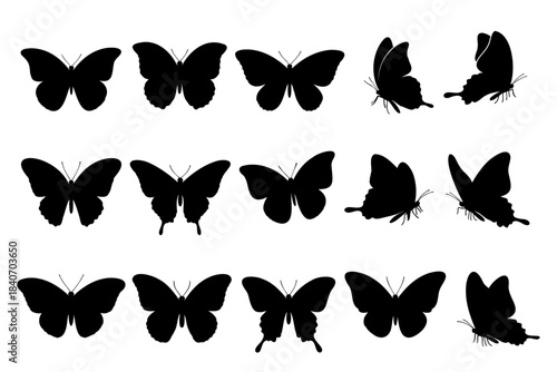 Butterfly silhouette set various views of flying insects wings spread and folded