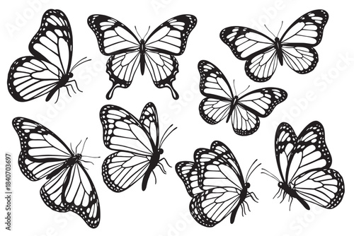 Set of butterfly silhouettes elegant insect collection isolated on transparent background