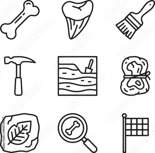 Paleontology and archaeology discovery icons showing ancient history research and excavation