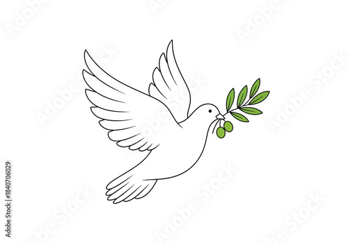 Vector illustration of a peace dove carrying an olive branch, human rights day theme , clipart style vector