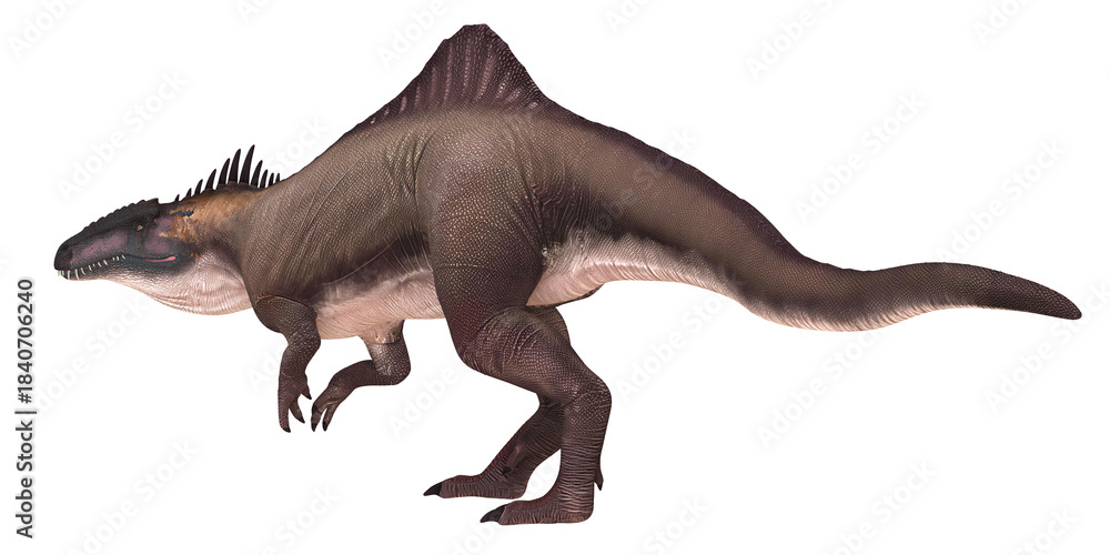Fototapeta premium Detailed illustration of a Spinosaurus dinosaur
