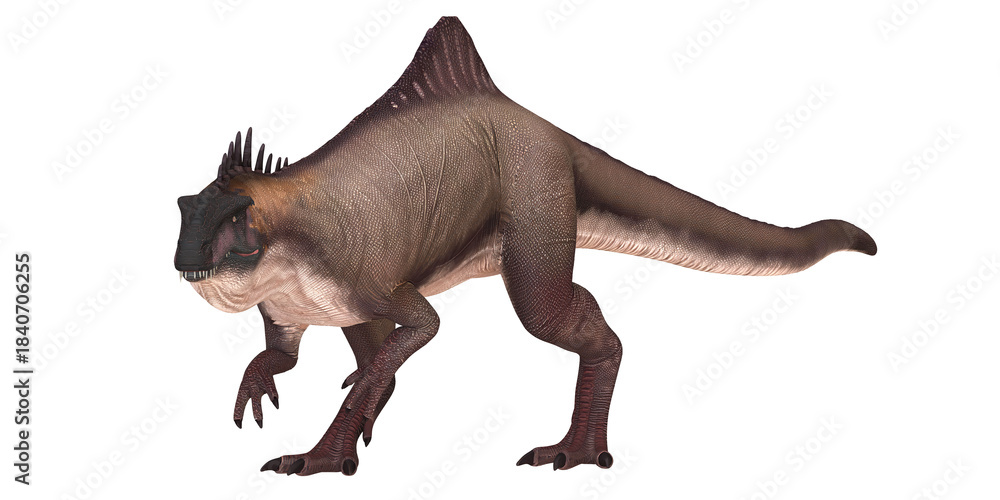 Fototapeta premium Realistic dinosaur against a white backdrop.