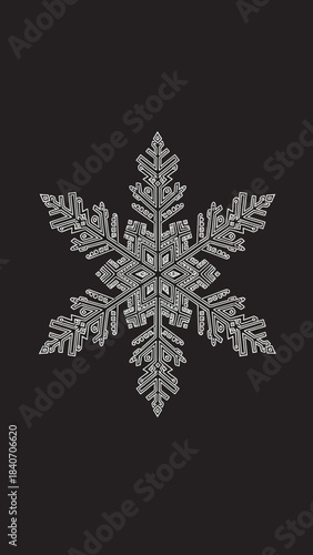 A stunningly intricate and symmetrical snowflake with delicate crystalline structures against a dark, plain background, showcasing its unique natural beauty.