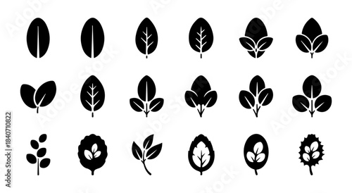 Minimalist black silhouette leaf icons collection for diverse nature and botanical design