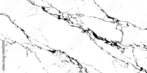 High resolution white marble texture with natural black veins, clean luxury stone background for interior design, architecture, wallpaper, branding, print, web design and modern abstract surfaces.