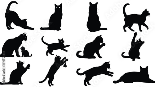 Collection of black cat silhouettes on white background