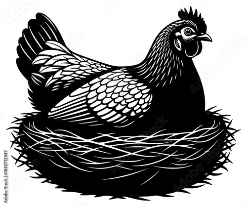A black and white illustration of a chicken sitting in a nest, bird nest, black, chicken, cock, egg, hen, illustration, lay, nest, profile, sit, white, against transparent background