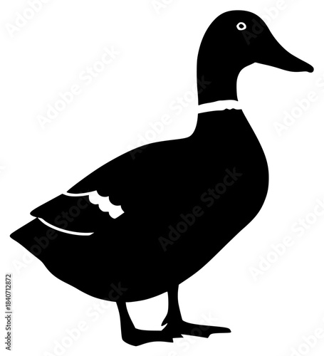 A black silhouette of a duck standing on a , black, duck, illustration, mallard duck, profile, stand, against transparent background