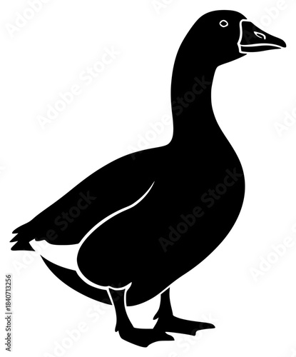 A black and white silhouette of a duck standing on a , beak, bird, black, duck, goose, illustration, profile, stand, against transparent background