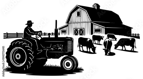 a black and white illustration of a man driving a tractor with cows and a barn in the background
