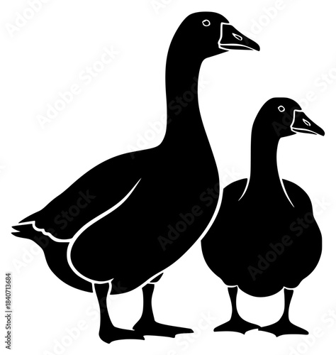Two black silhouettes of ducks standing side by side on a plain , black, duck, goose, illustration, profile, stand, against transparent background