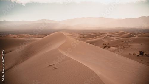 Desert background. Dunes in the middle of summer, sunset. Desolate, without people.