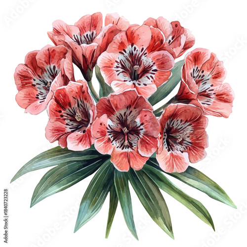 Kalmia Flower, elegant watercolor vector painting with refined details, isolated on a white background.
