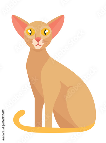 Oriental cat. Flat vector clipart illustration with isolated background.