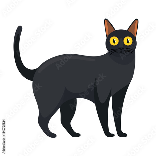 Bombay cat. Flat vector clipart illustration with isolated background.