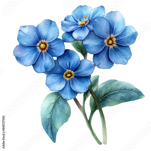 Forget-Me-Not Flower, charming vector painting in watercolor with whimsical textures, isolated on a white background.