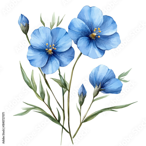 Flax Flower, elegant watercolor vector painting with refined details, isolated on a white background.