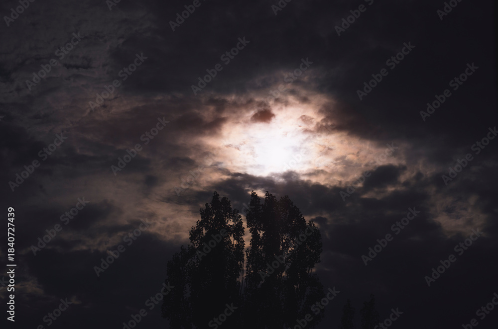 Fototapeta premium storm clouds over the forest