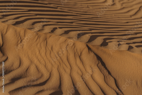 dune de sable en gros plan, ondulation à la surface