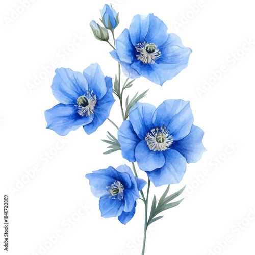 watercolor of Delphinium Flower, hand-drawn, isolated on a white background.