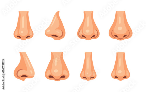Flat vector nose illustration. Nose vector icons