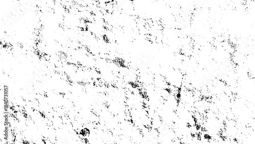 Elegant black and white portrait of a woman with flowing hair and dramatic lighting