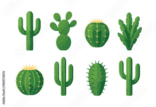 Cactus collection in flat vector illustration, succulent plants and desert flora