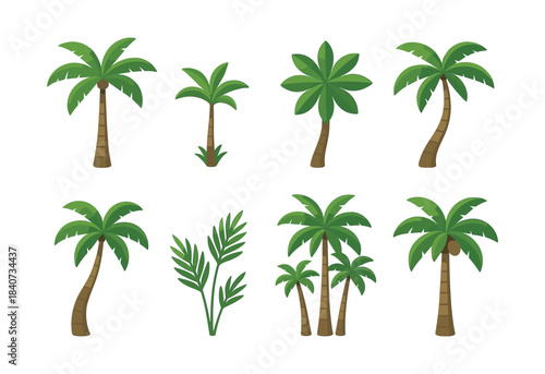 Palm trees and tropical leaves, flat vector illustration, exotic plants collection