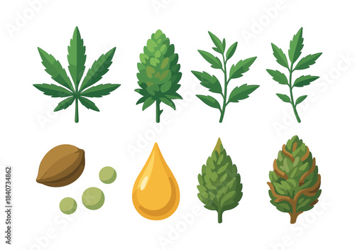 Cannabis and herbs, flat vector illustration with leaves and seeds