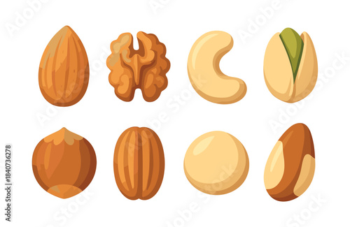 Nut and seed collection, almonds, cashews, pistachios, flat vector illustration