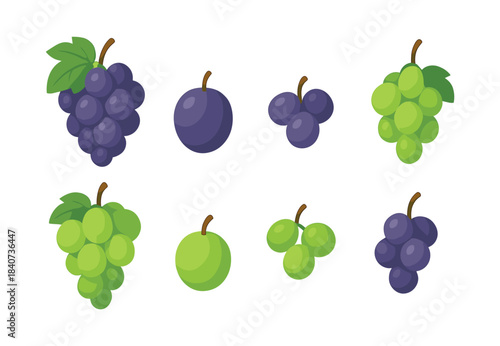 Grapes and plums collection, flat vector illustration, fruit, berries