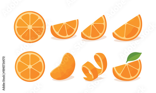 Orange slices variety, flat vector illustration with citrus, fruit segments