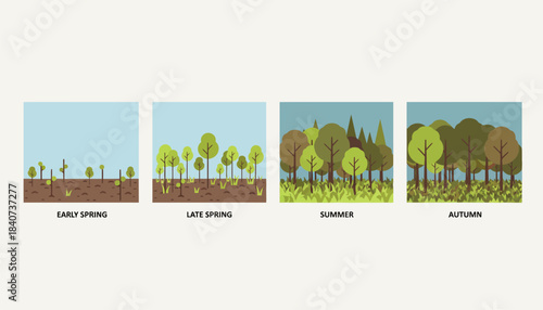 A timelapse sequence showing a barren field transforming into a lush forest over several seasons highlighting the growth of saplings.