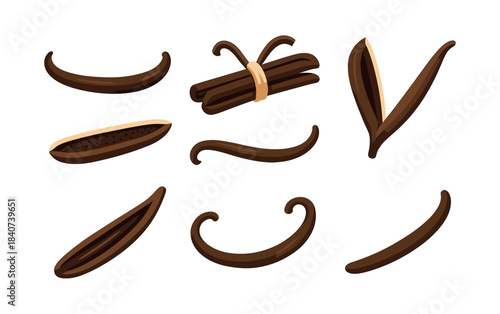 Vanilla beans collection, pods, sticks, flat vector illustration