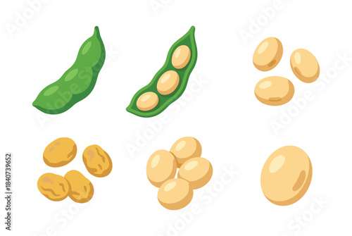 Soybean and edamame varieties, legumes and beans, flat vector illustration
