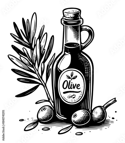 Olive oil bottle with branch vector illustration. Natural organic food ingredient with leaves. Vintage engraving style sketch.