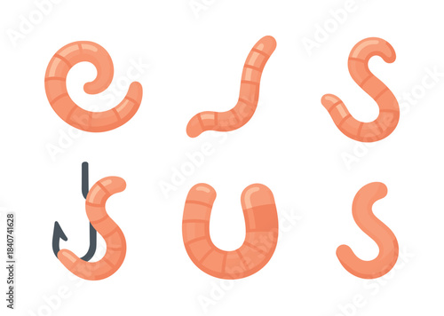 Worm collection, fishing bait and hook, flat vector illustration