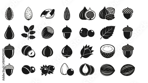 Collection of Various Nuts and Seeds Illustrated as Simple Black and White Icons on a White Background