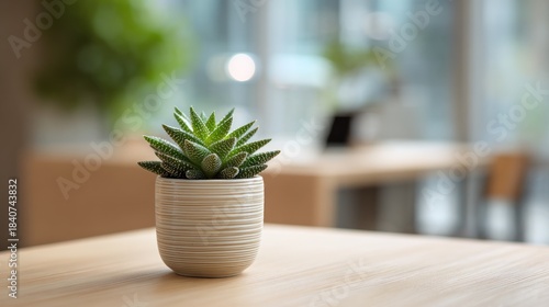 Decorative aloe vera plant adds freshness to an office wooden table
