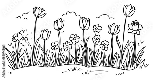 Spring flowers meadow garden vector illustration. Tulips and daisies growing in grass. Nature floral border sketch.