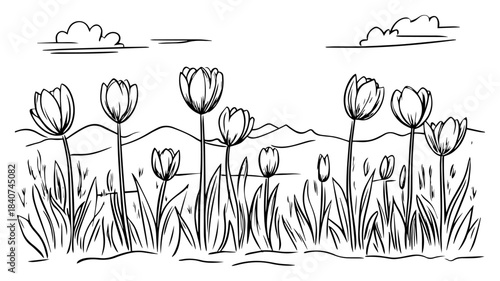 Tulip meadow landscape vector illustration. Spring flowers in field with mountains background sketch. Nature garden doodle.