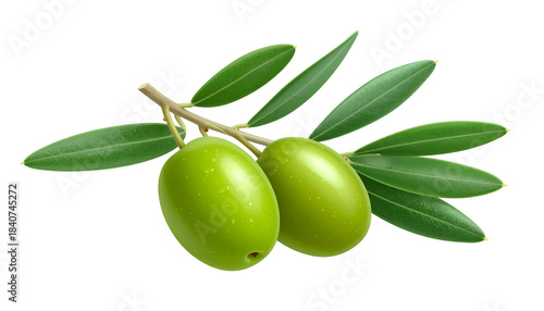 Wallpaper Mural Two green olives with leaves on a branch against a black background Torontodigital.ca